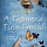 A Thousand Tiny Truths