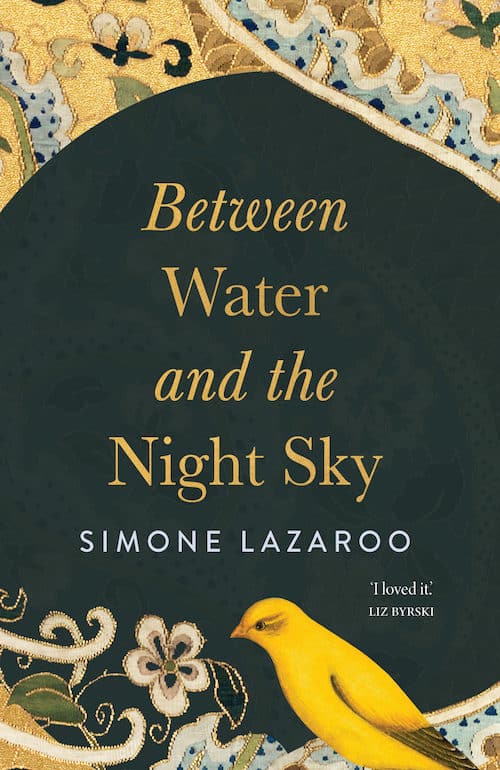 Between Water and the Night Sky by Simone Lazaroo